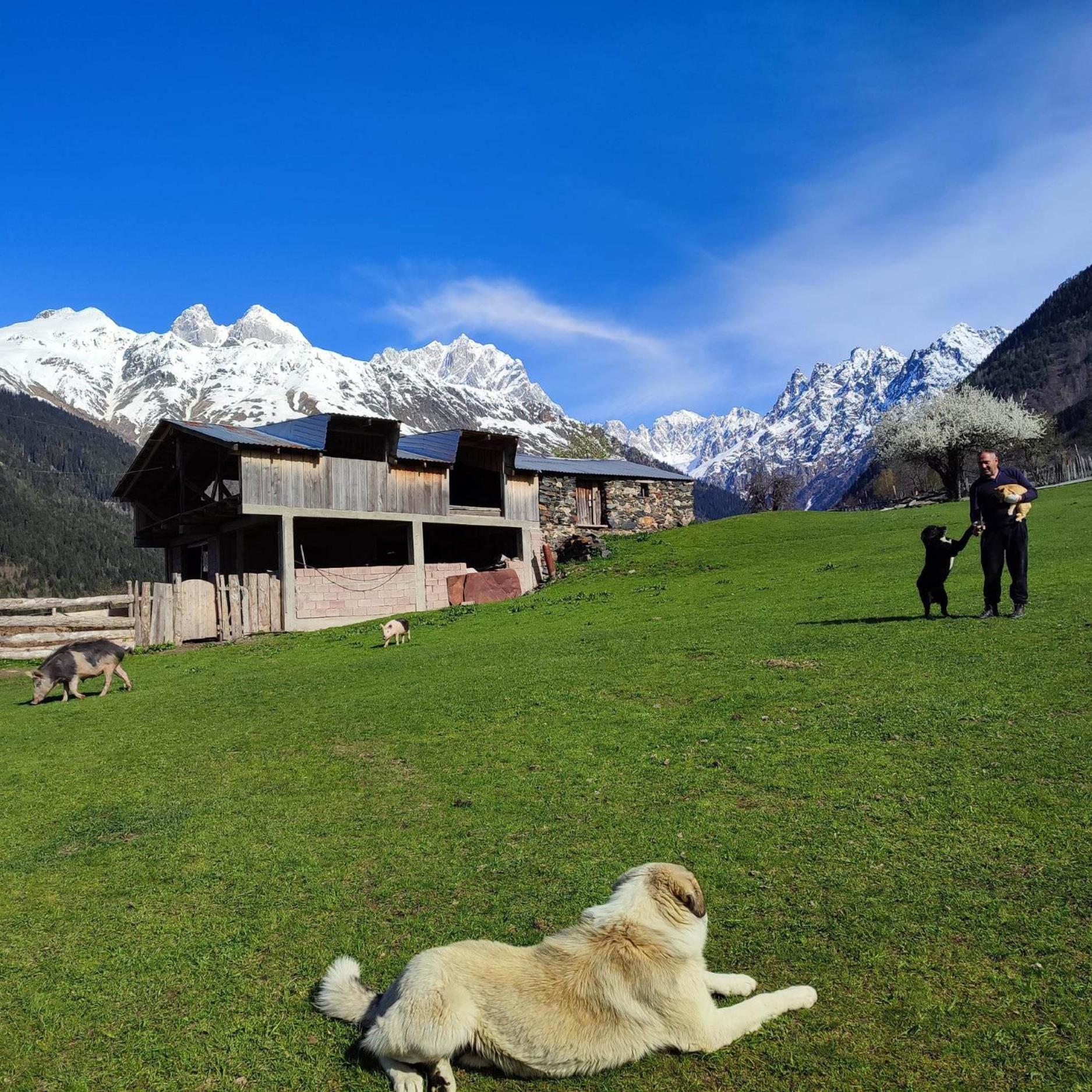 Tebdi Qor, Warm Home Mestia Exterior foto
